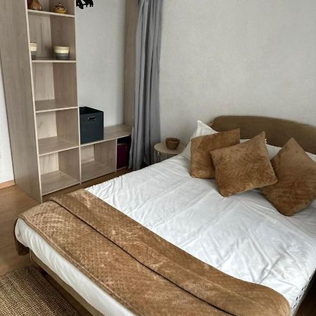 Superbe 4 Pieces Appartement Colmar Buitenkant foto