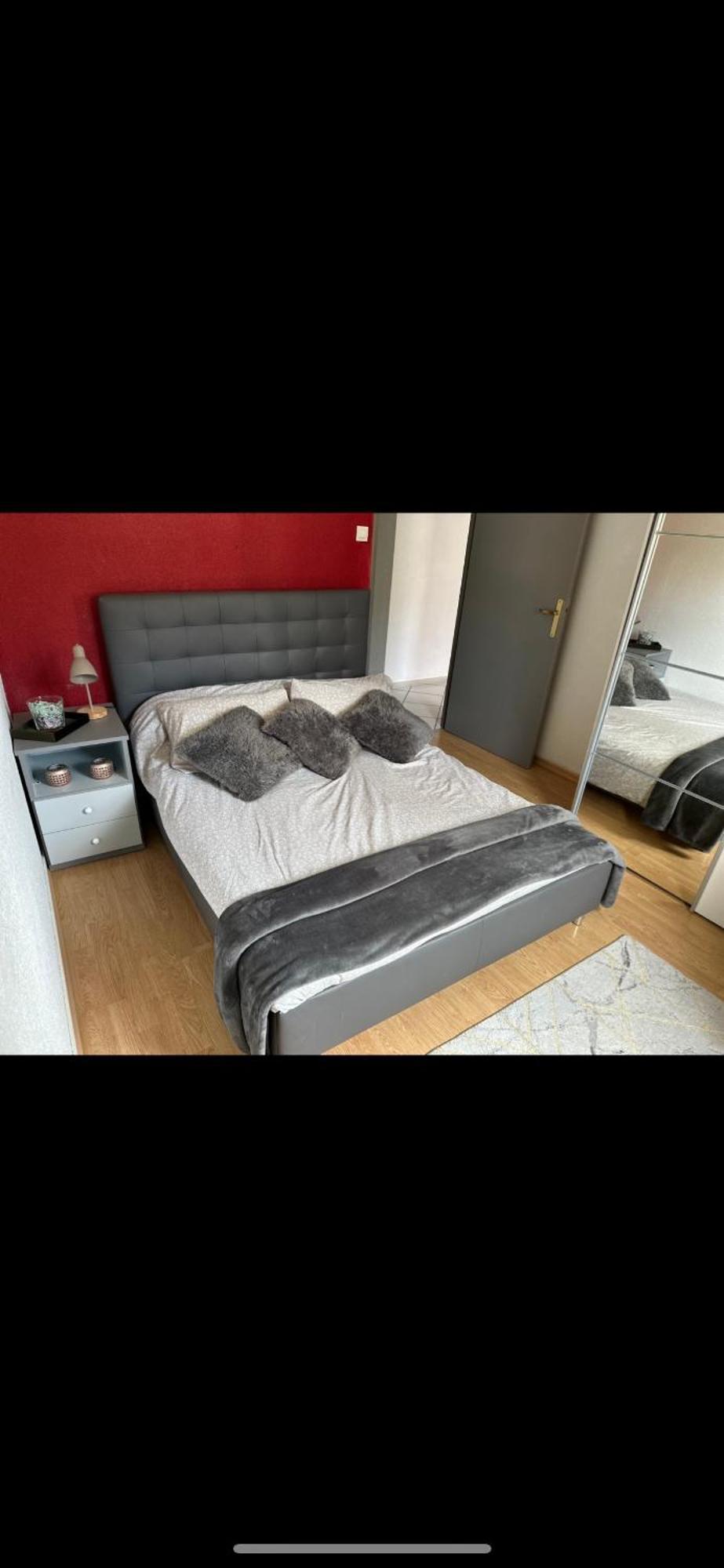 Superbe 4 Pieces Appartement Colmar Buitenkant foto